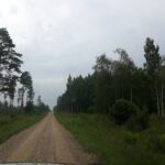 litwa-lotwa-estonia-off-road-38